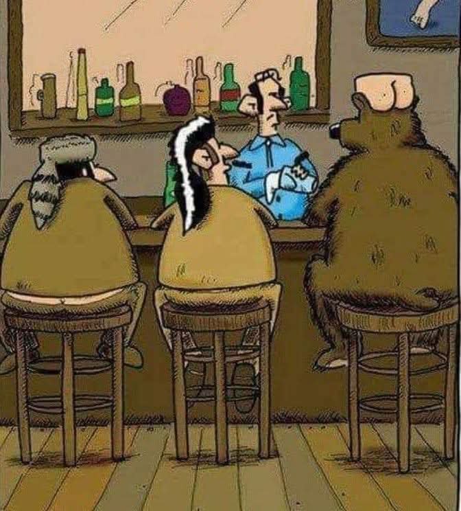 각자 사냥한 동물로 모자 만들어 쓰고다님