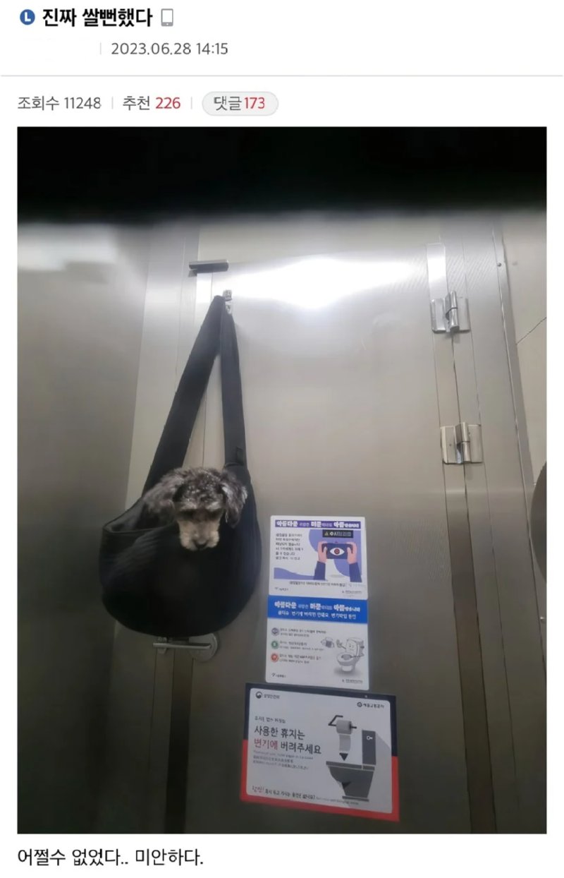 화장실이 급했던 강아지 주인