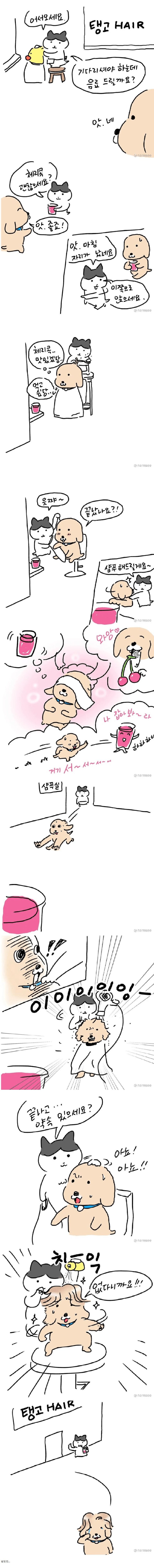 미용실 체리콕 받았던 만화.jpg