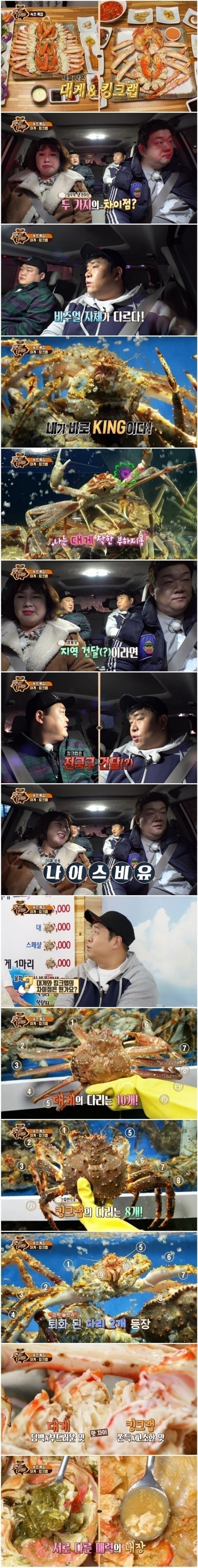 대게 킹크랩 차이알려주는 뚱4