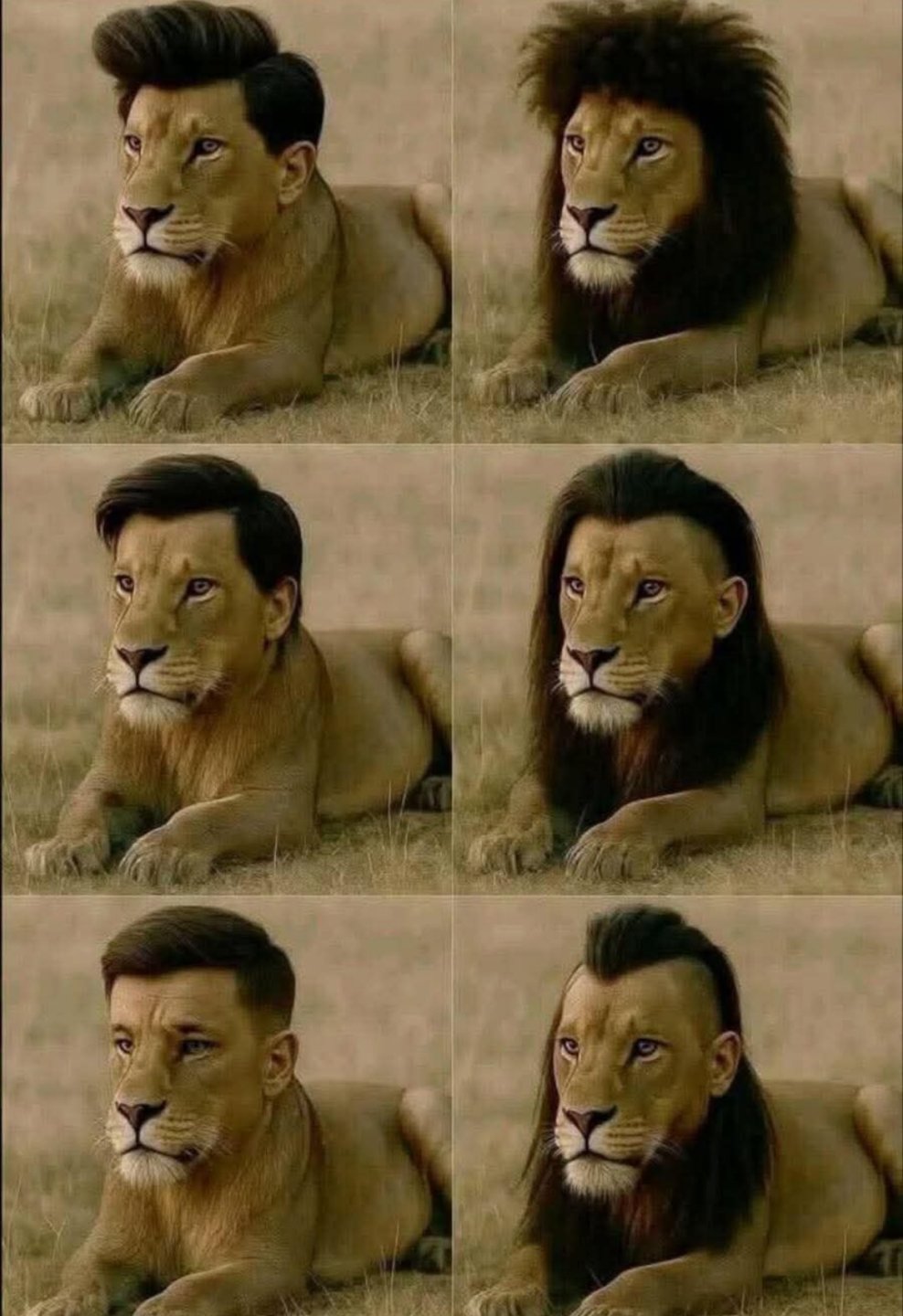 헤어스타일의 중요성 