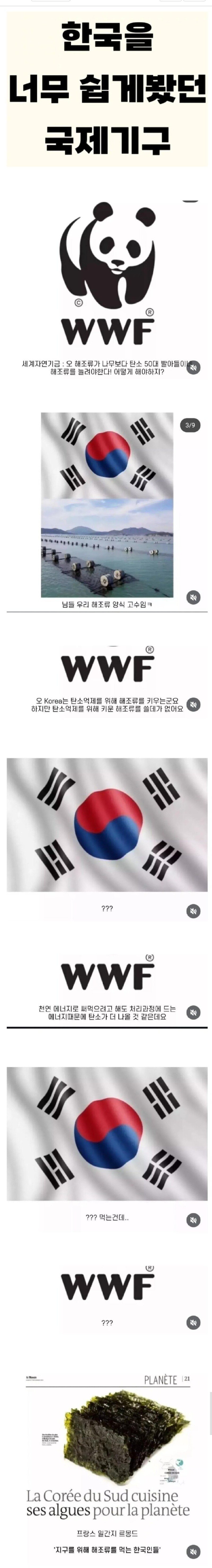 한국 쉬운나라 아니다 쉽게 보지마라 