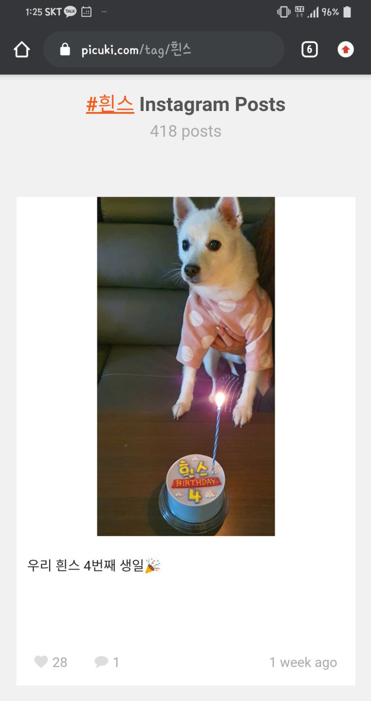 검스 좋아하세요? 저는 흰스를 더 좋아합니다