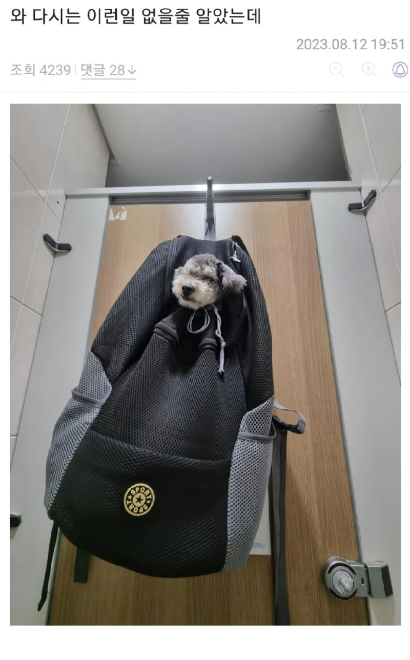 화장실이 급했던 강아지 주인