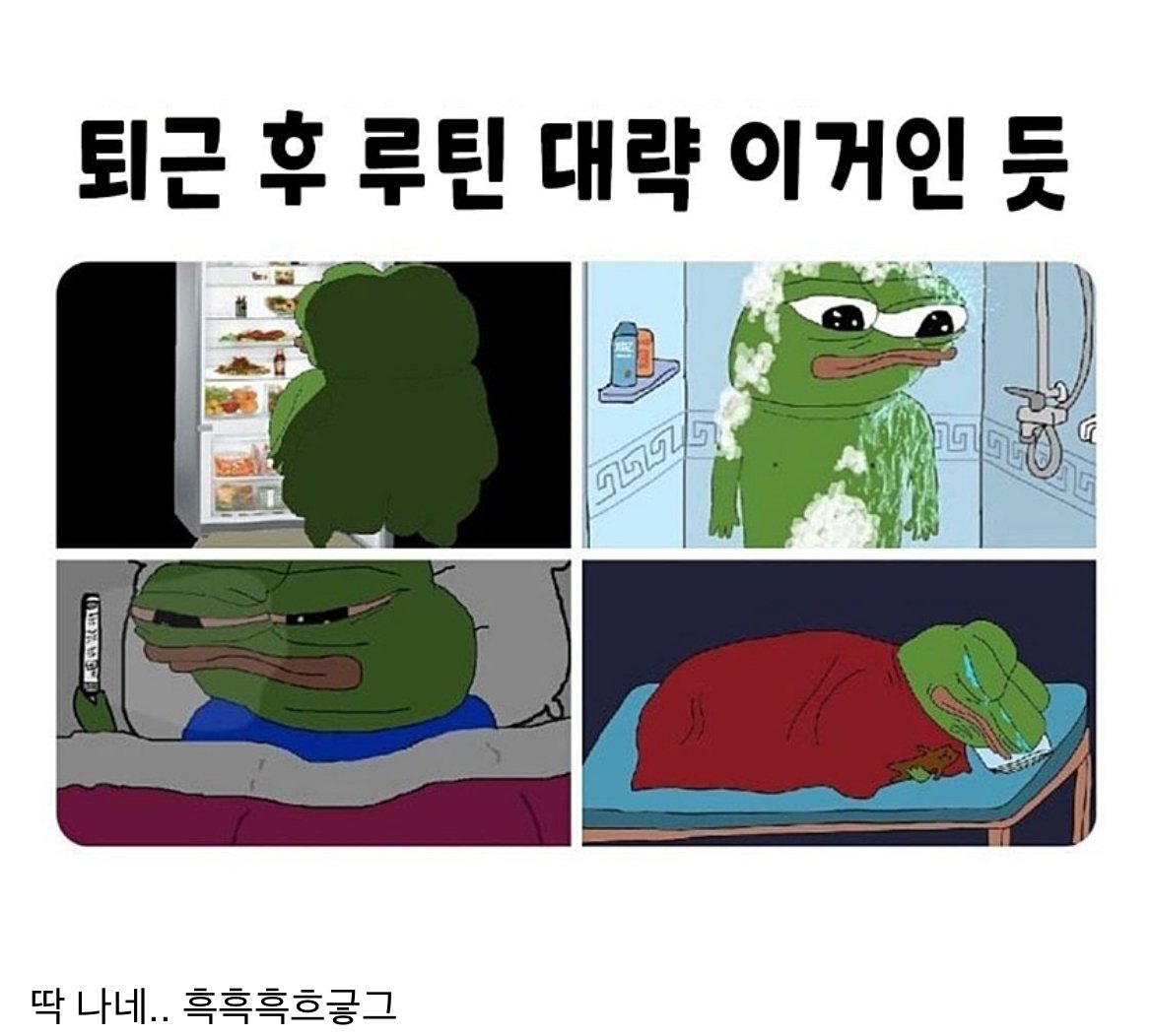 직장인들 퇴근 후 루틴 국룰.jpg