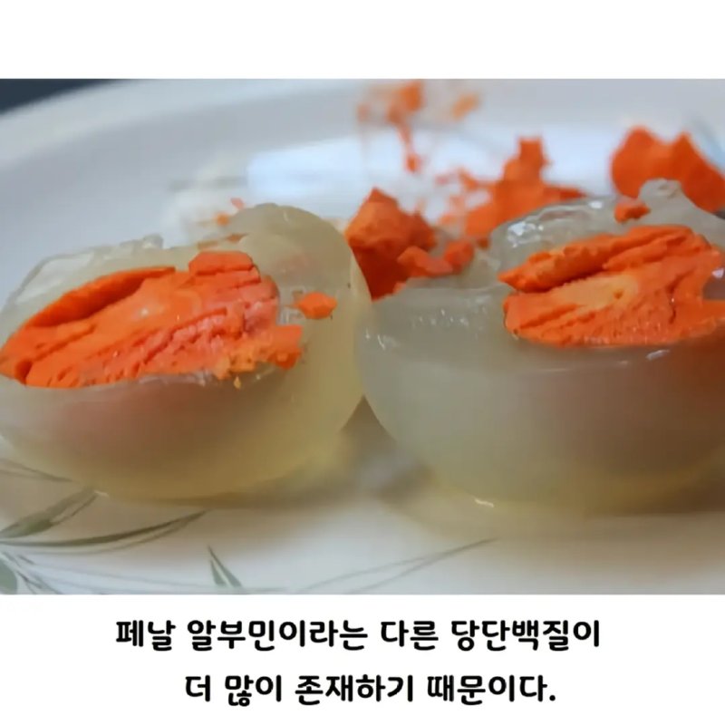 아무도 몰랐던 펭귄알의 진실