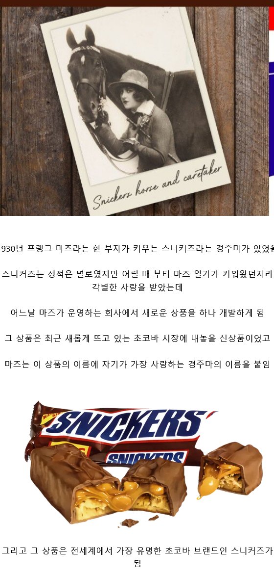 세계에서 가장 유명해진 어느 경주마의 이름