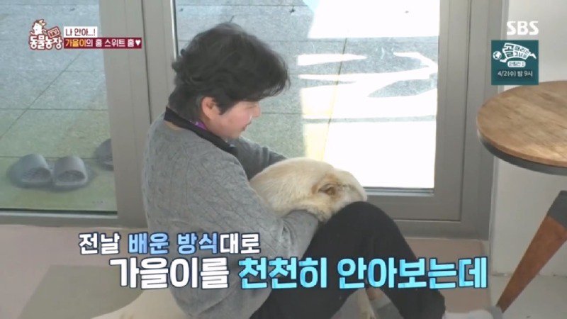 최근 입양한 강아지가 손에 닿을 거리를 유지하고 만지지 못하게 도망가던 사연