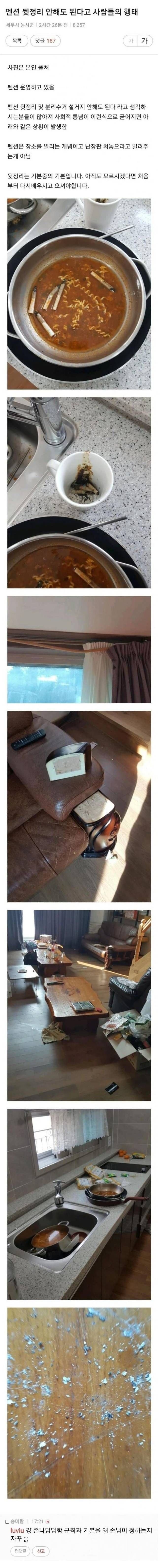 현시각 반응 터진 펜션 뒷정리 사진