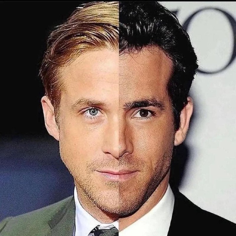 서로 닮은 외국 연예인들