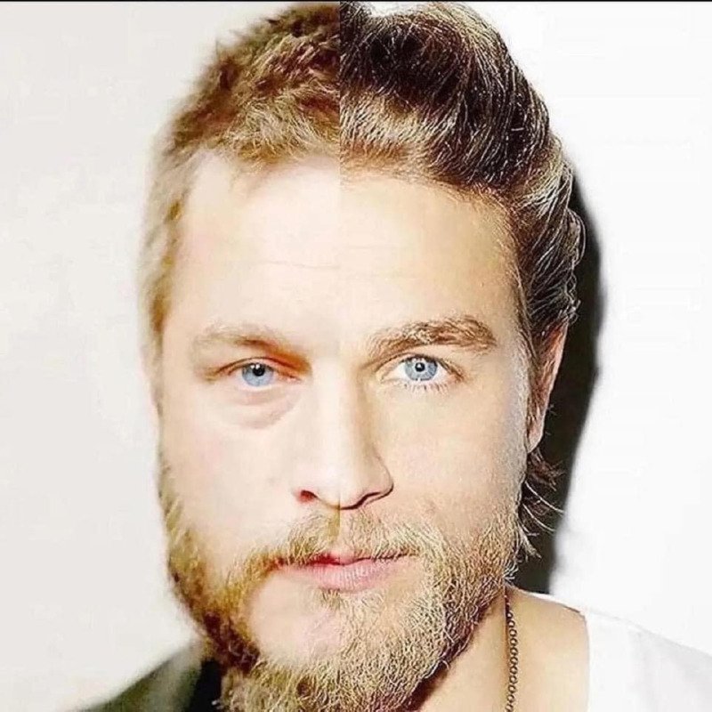 서로 닮은 외국 연예인들