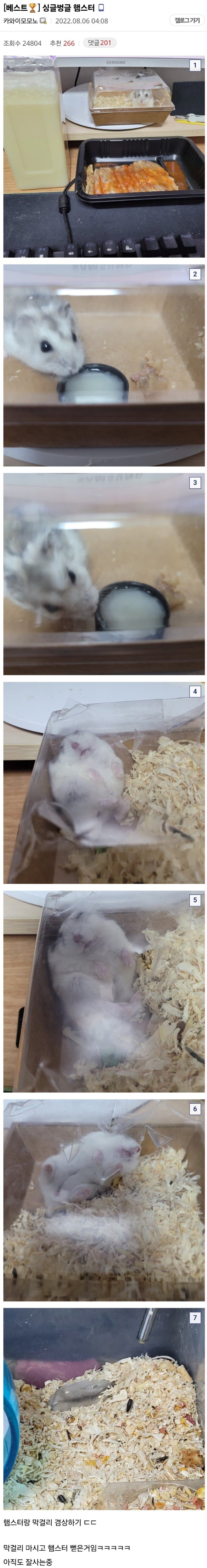 햄스터만 10년 넘게 키운 디시인.jpg