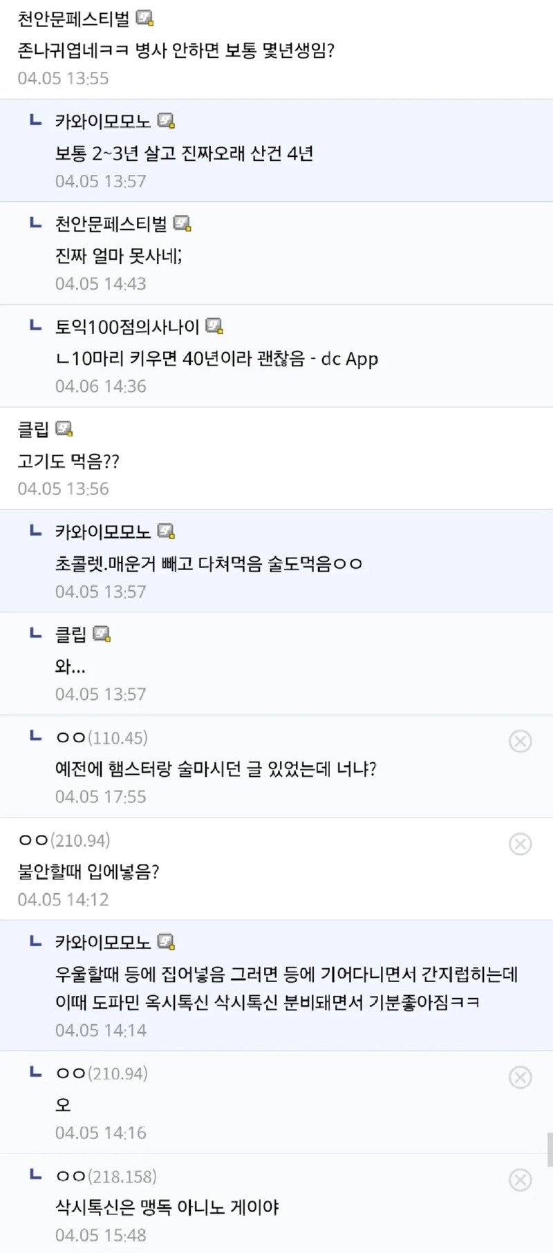 햄스터만 10년 넘게 키운 디시인.jpg