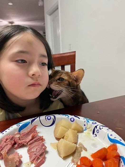 ???: 아 알았어 알았다고... 나 밥 좀 먹자...