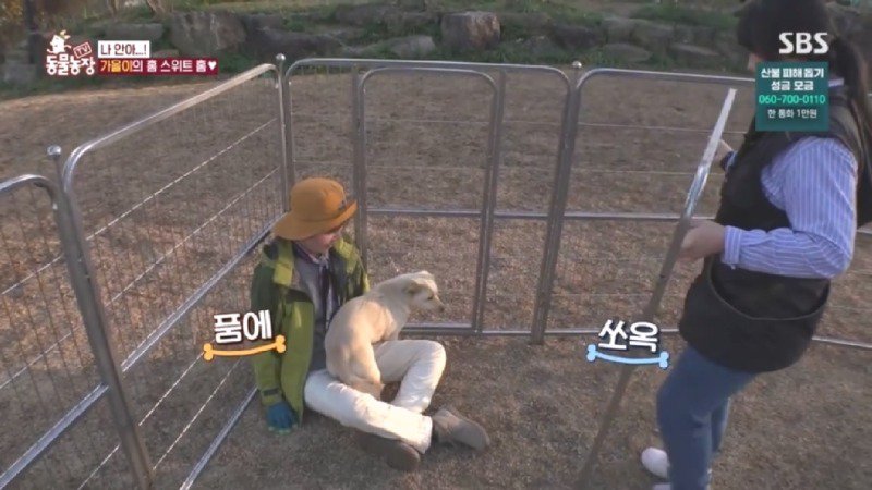 최근 입양한 강아지가 손에 닿을 거리를 유지하고 만지지 못하게 도망가던 사연