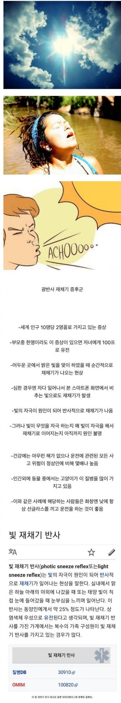 광반사 재채기 증후군