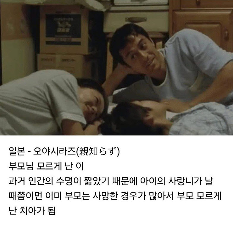 중일이 서로 전혀 다르게 말하는 단어