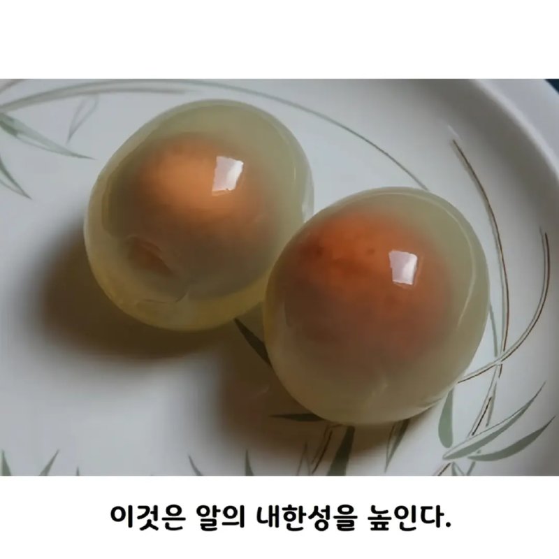 아무도 몰랐던 펭귄알의 진실