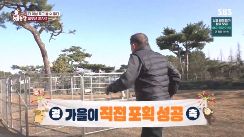 최근 입양한 강아지가 손에 닿을 거리를 유지하고 만지지 못하게 도망가던 사연