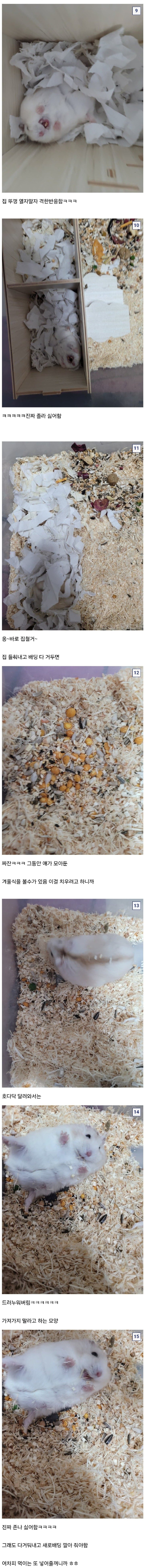 햄스터만 10년 넘게 키운 디시인.jpg