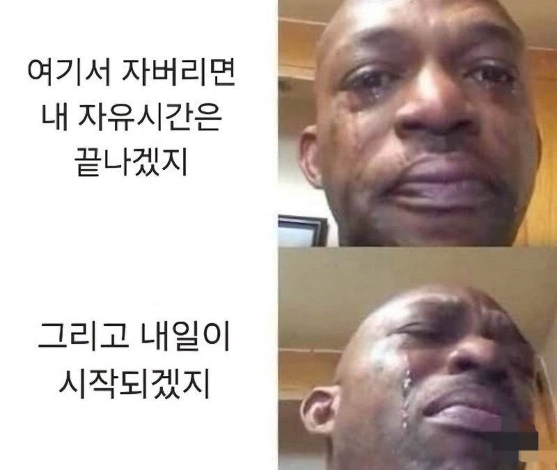 지금 직장인 심정 ㅠㅠ