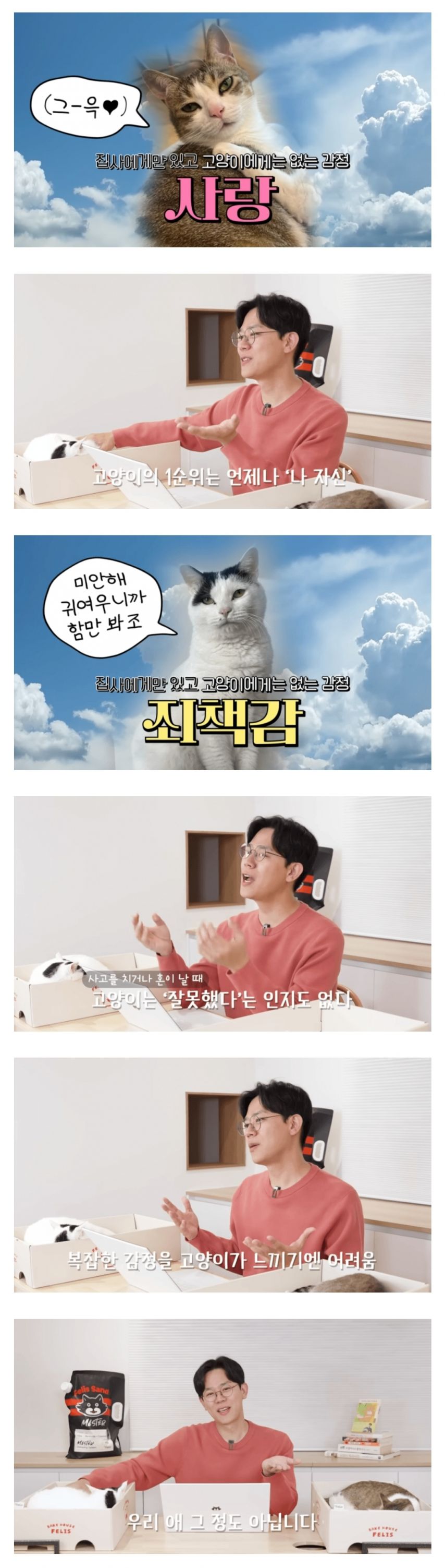 고양이에게는 없는 감정