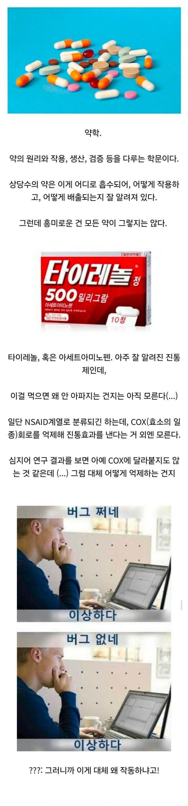 신기한 타이레놀의 세계