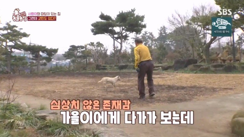 최근 입양한 강아지가 손에 닿을 거리를 유지하고 만지지 못하게 도망가던 사연