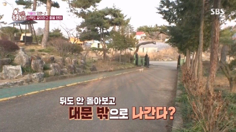 최근 입양한 강아지가 손에 닿을 거리를 유지하고 만지지 못하게 도망가던 사연