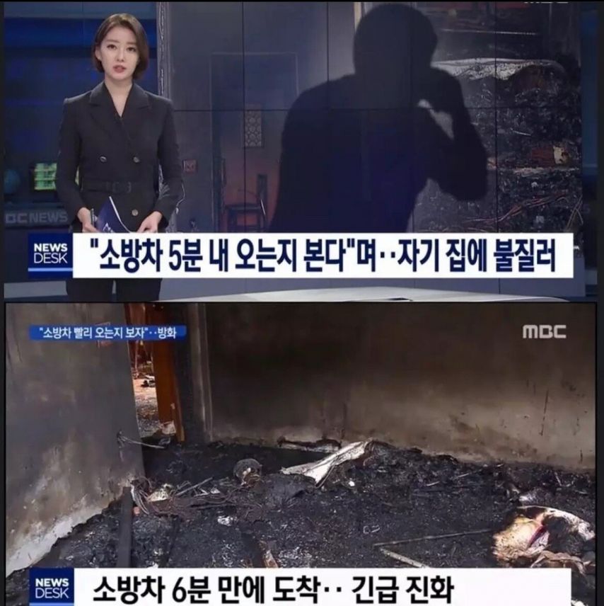 정신나간 호기심.