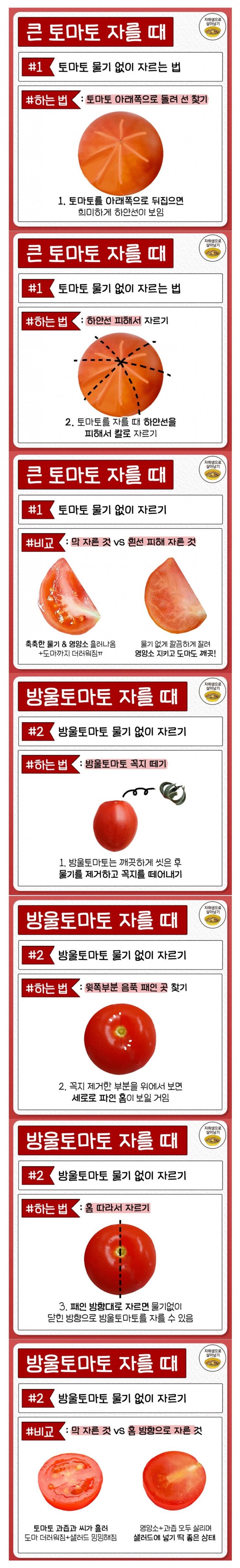 토마토 자르는 법