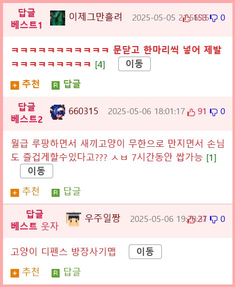 극한 직업 고양이 사육사.gif