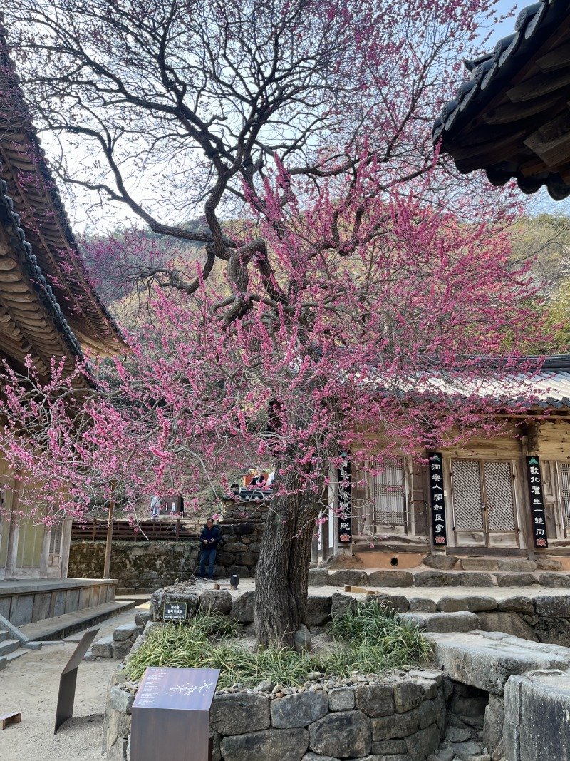 CNN이 선정한 아름다운 한국의 사찰10