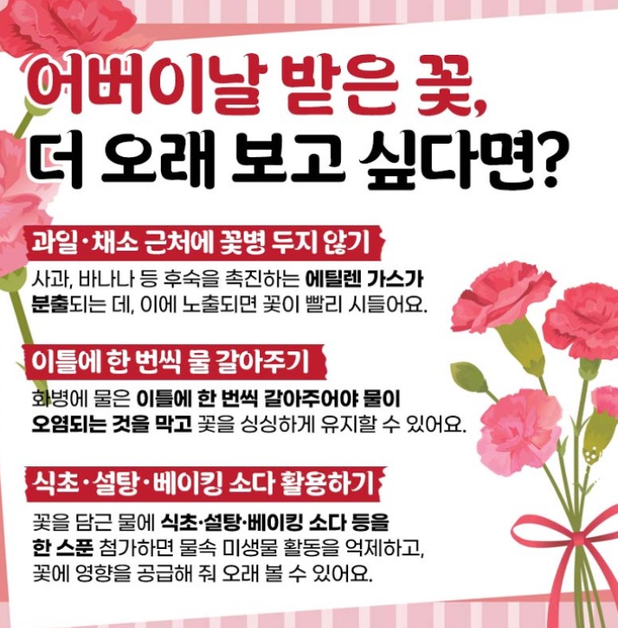 꽃 더 오래  보고싶다면