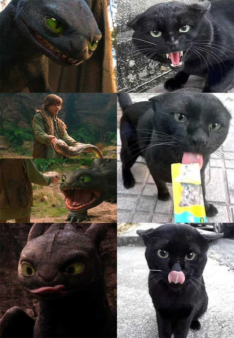 드래곤 길들이기에서 히컵이 쓴 스킬북.jpg