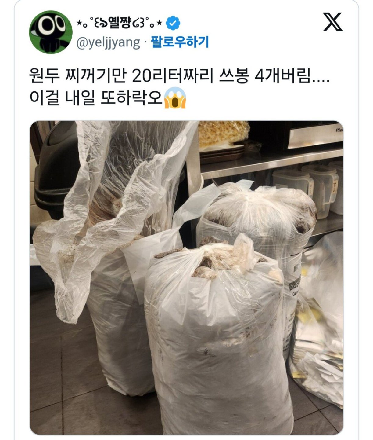 빽다방 아메리카노 500원 2일차근황