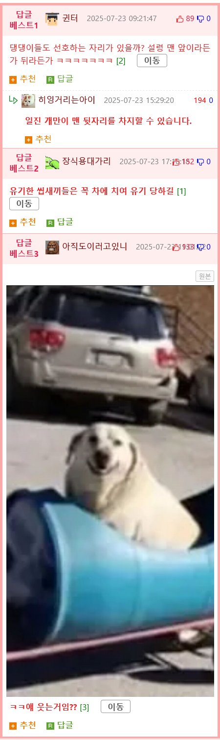 80대 할아버지의 산책시간.jpg