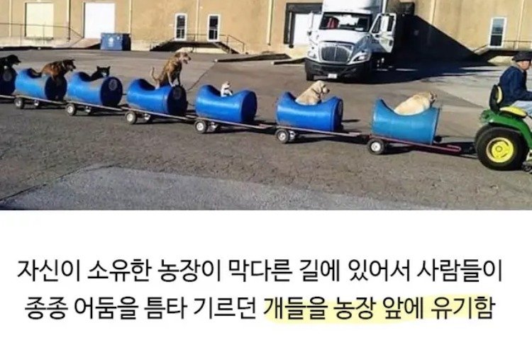 80대 할아버지의 산책시간.jpg