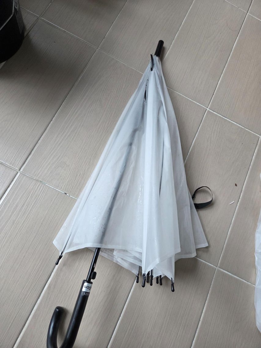 우산 빌려주고 복숭아와 감자 선물 받았습니다