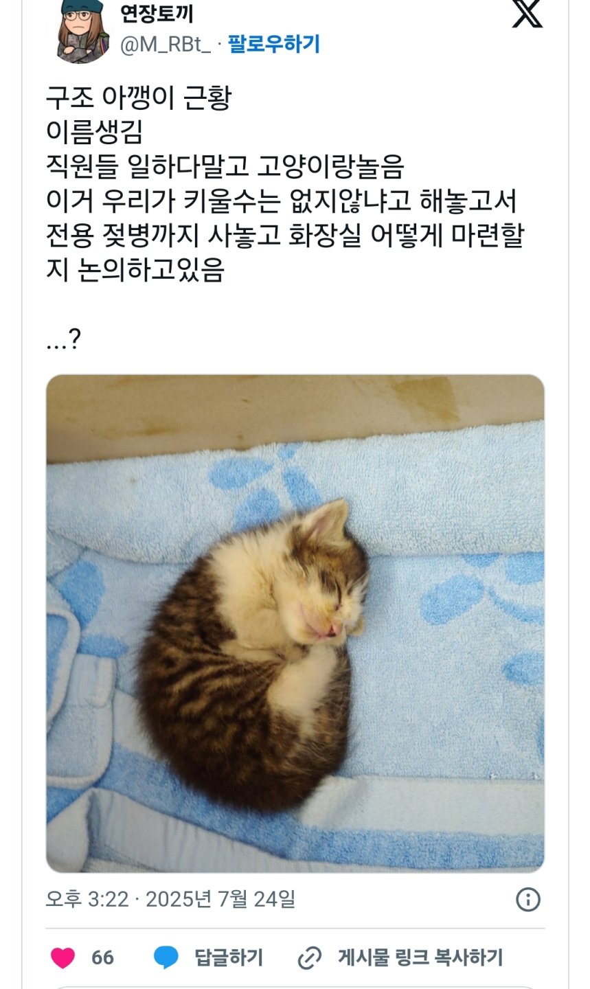 손님차 엔진룸에서 구한 아깽이를 강제로 맡게된 정비사