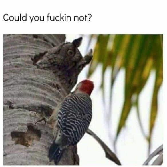 층간 소움에 빡친 윗층