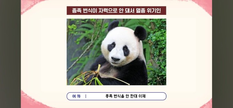 편견이 너무 없는 스트리머