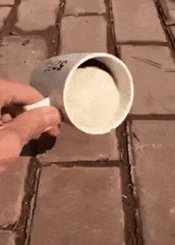 우연히 만들어진 장면.mp4