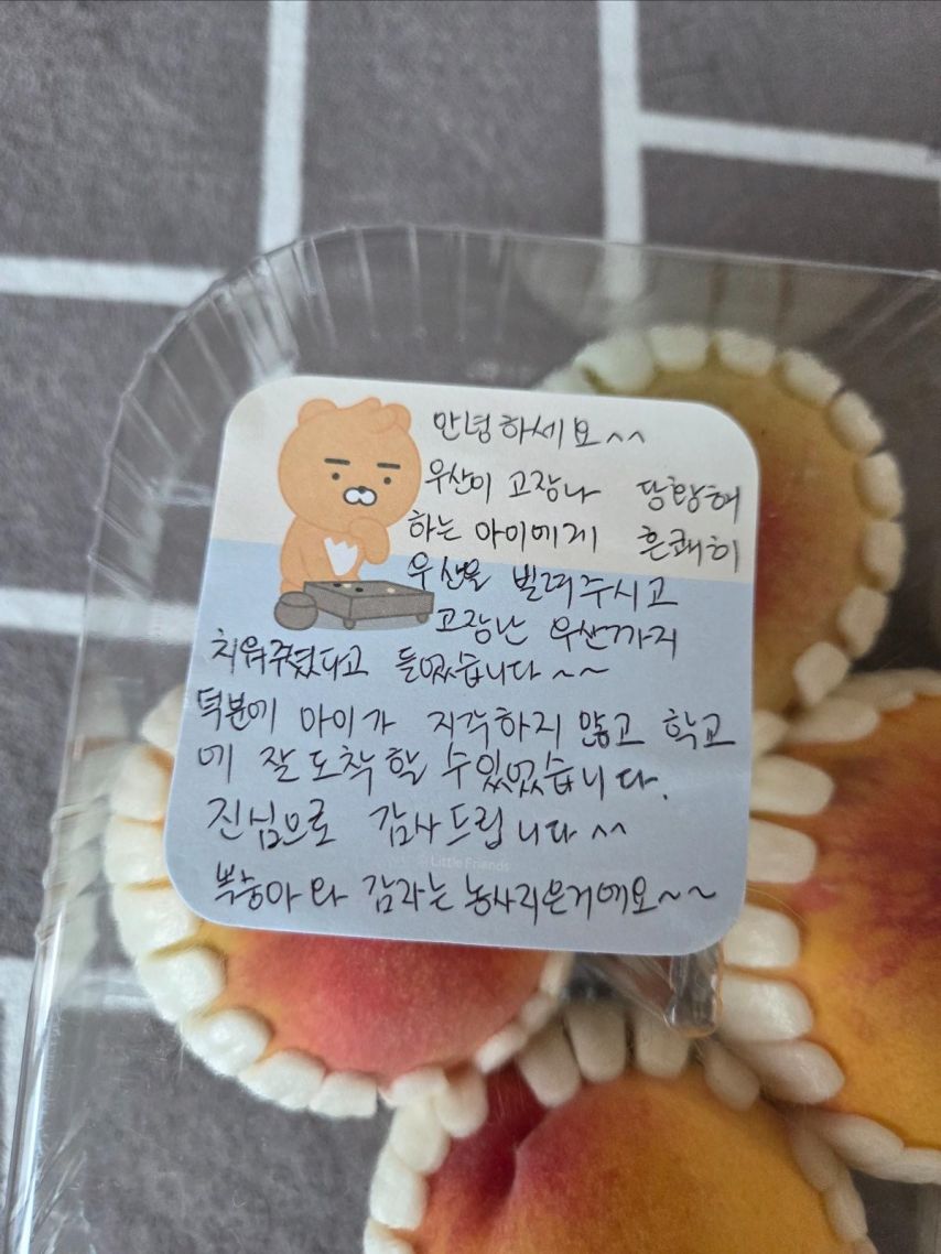 우산 빌려주고 복숭아와 감자 선물 받았습니다