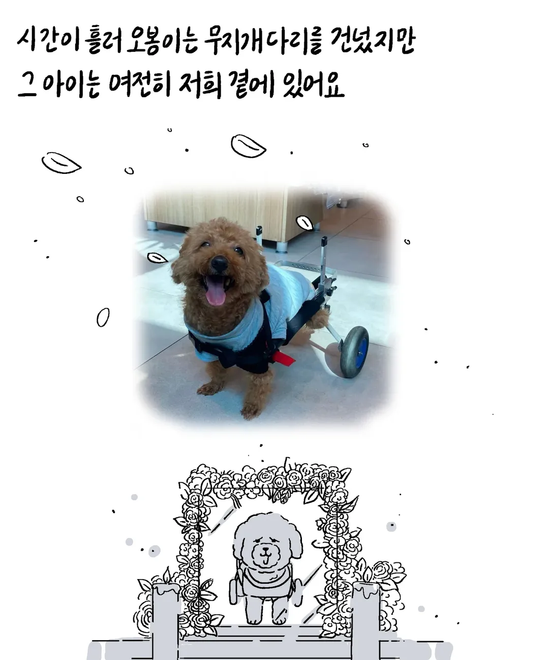 반려동물 자랑대회 당선작