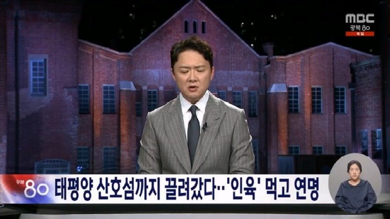 태평양 산호섬까지 끌려갔다 '인육' 먹고 연명