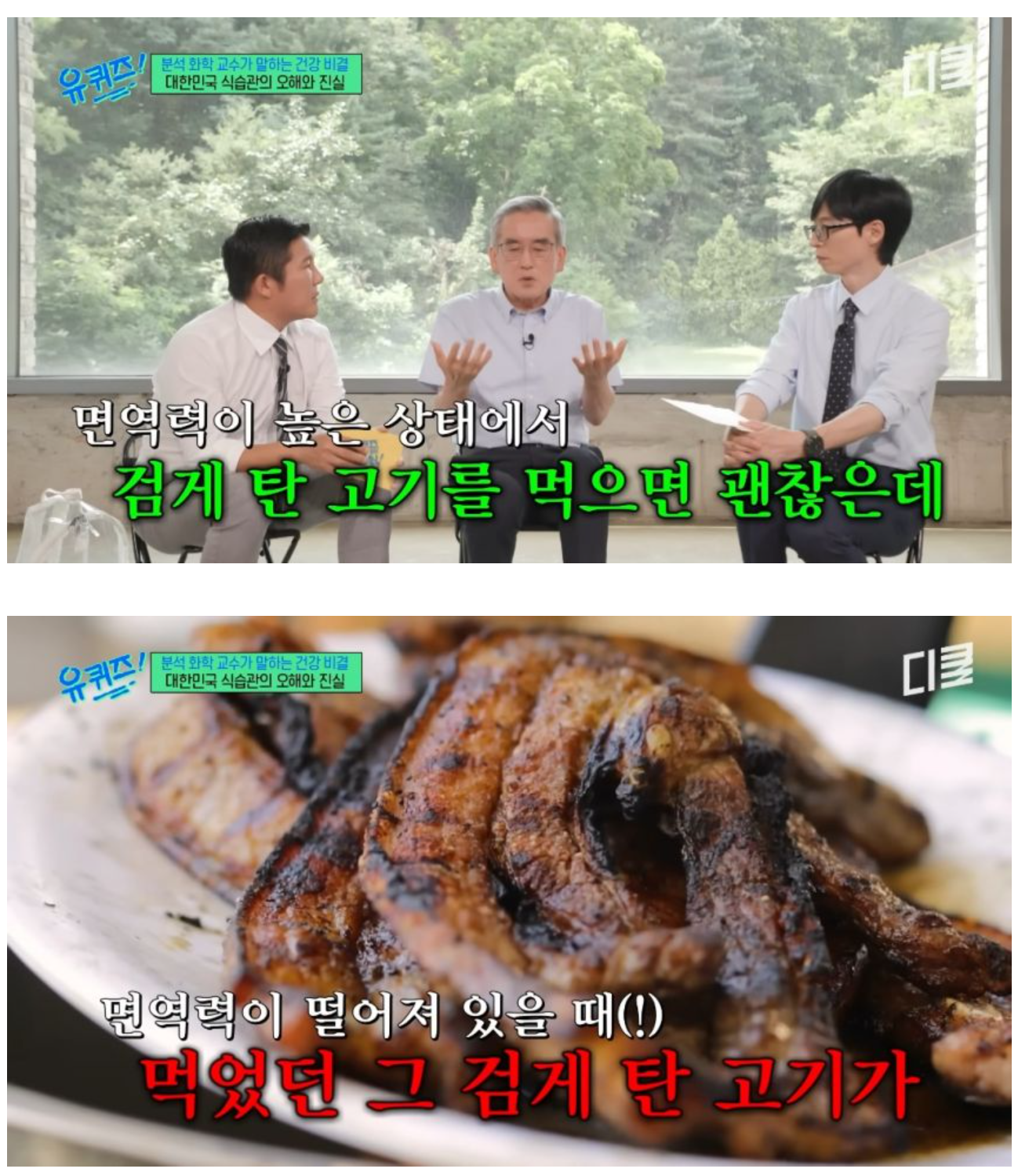 탄고기에 1군 발암물질 있다는 화학 교수