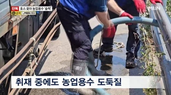 요즘 물도둑 근황