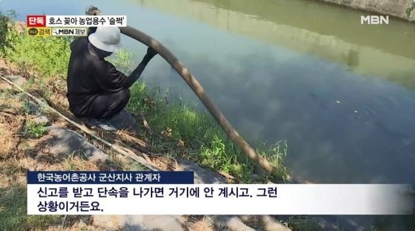 요즘 물도둑 근황