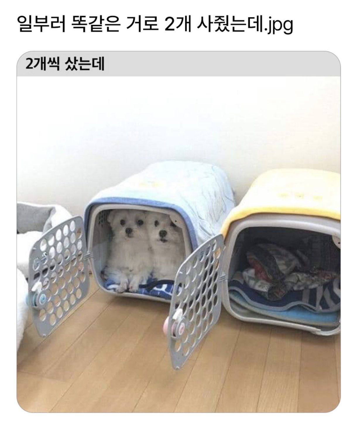 일부러 두개씩 사줬는데